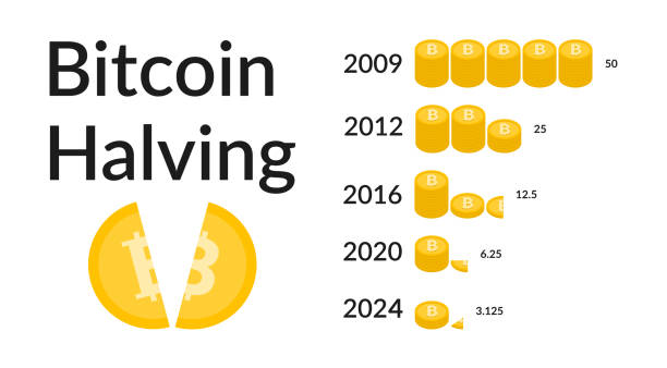 What is Bitcoin Halving? 